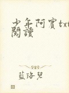 少年阿宾txt阅读