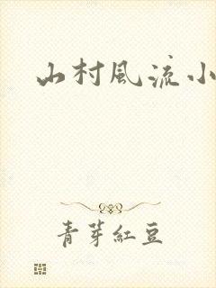 山村风流小说