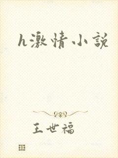 h激情小说