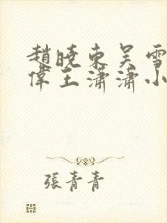 赵晓东吴雪晴郑伟王潇潇小说名字