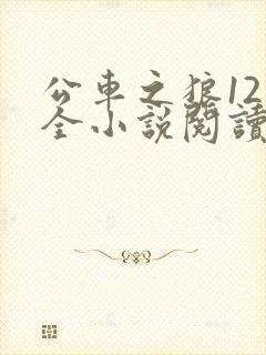 公车之狼12集全小说阅读