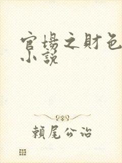 官场之财色诱人小说