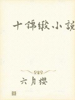 十锦缎小说