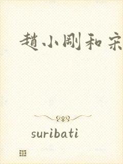 赵小刚和宋雨晴