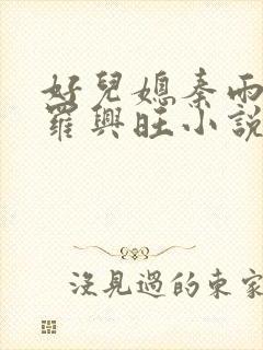 好儿媳秦雨罗明罗兴旺小说