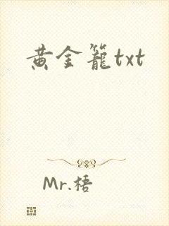 黄金笼txt