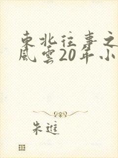 东北往事之黑道风云20年小说