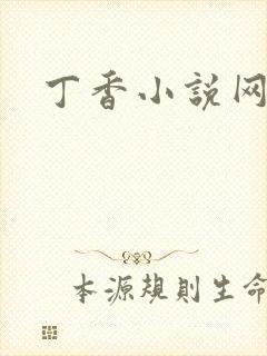 丁香小说网