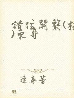 错位关系(校园)东哥