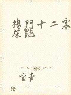 杨门十二寡妇肉床艳