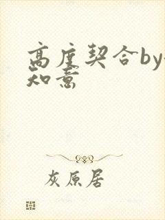 高度契合by洛知意