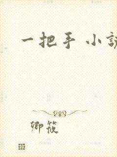 一把手 小说