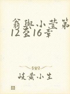 翁与小莹第十部12至16章