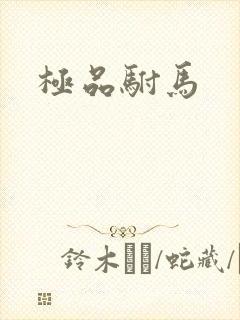 极品驸马