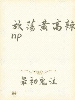 放荡黄高辣h文np