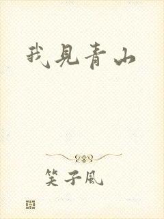 我见青山