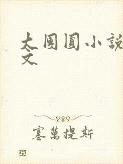 大团圆小说集全文