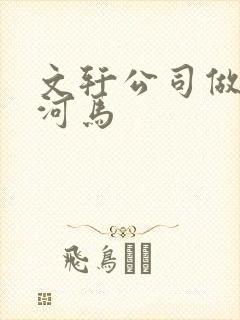 文轩公司做扩张河马