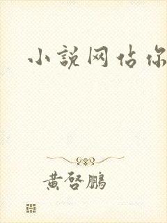 小说网站你懂的