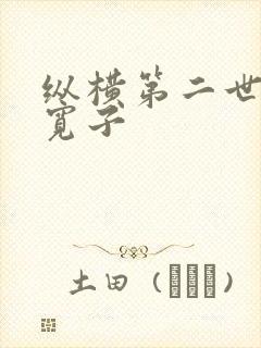 纵横第二世界 宽子