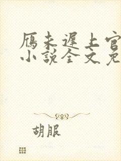 雁未迟上官穿越小说全文免费阅读