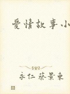 爱情故事小说