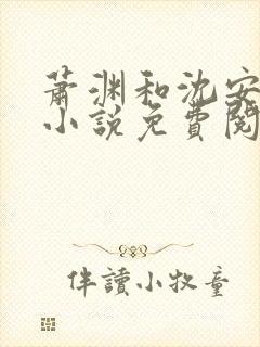 萧渊和沈安安的小说免费阅读