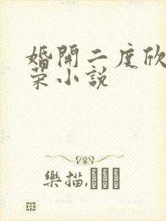 婚开二度欣欣向荣小说