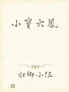 小宝六凤