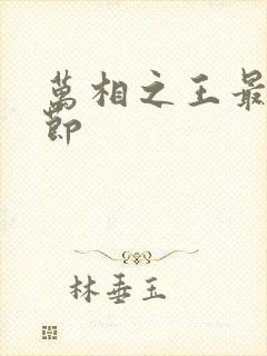 万相之王最新章节