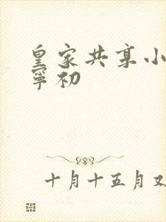 皇家共享小公主宁初