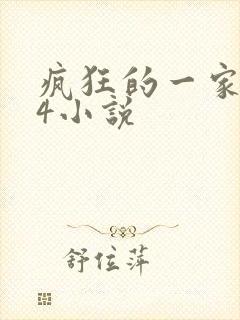 疯狂的一家ps4小说