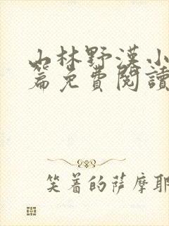 山林野汉小说全篇免费阅读