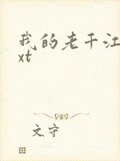 我的老千江湖txt