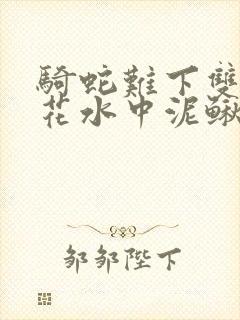 骑蛇难下双金银花水中泥鳅