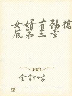 女婿有劲枪枪到底第三章