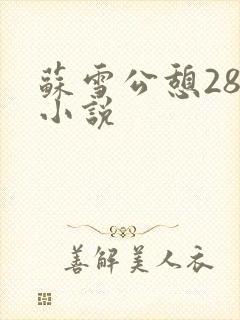苏雪公憩28篇小说