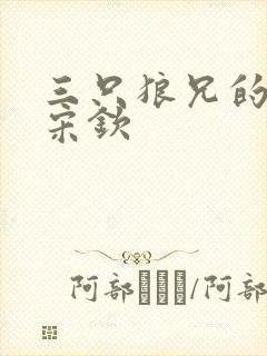 三只狼兄的宠妻宋钦