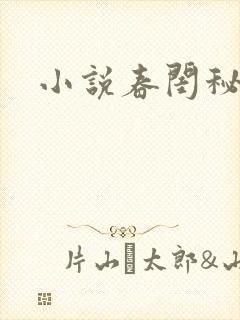 小说春闺秘史