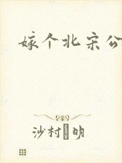 嫁个北宋公务员