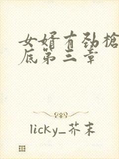 女婿有劲枪枪到底第三章