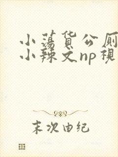 小荡货公厕h文小辣文np视频