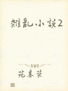 杂乱小说2