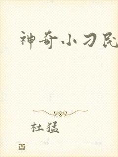 神奇小刁民