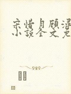 宋惜月顾浔渊的小说全文免费阅读