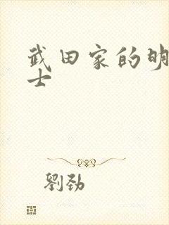 武田家的明国武士