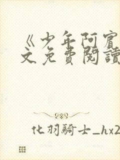 《少年阿宾》全文免费阅读