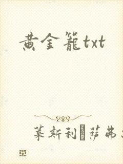 黄金笼txt