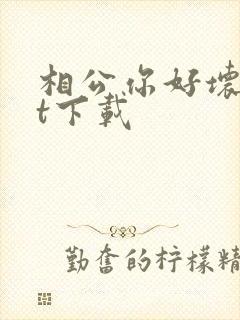 相公你好坏txt下载
