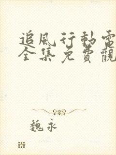 追风行动电视剧全集免费观看